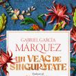„Un veac de singurătate”