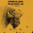 Se caută voluntari pentru Câmpulung Film Fest, ediția a X-a